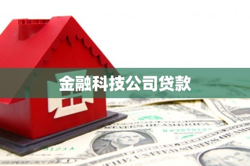 七里河金融科技公司贷款