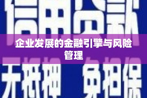 七里河企业发展的金融引擎与风险管理