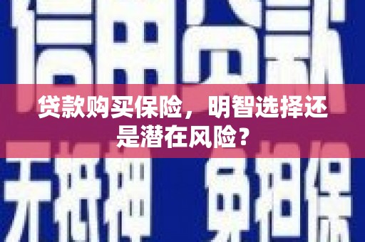 七里河贷款购买保险，明智选择还是潜在风险？