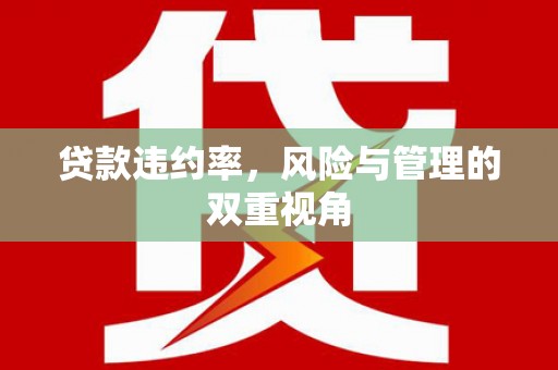七里河贷款违约率，风险与管理的双重视角
