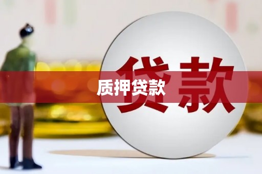 七里河质押贷款