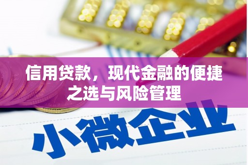 七里河信用贷款，现代金融的便捷之选与风险管理