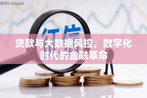 七里河贷款与大数据风控，数字化时代的金融革命
