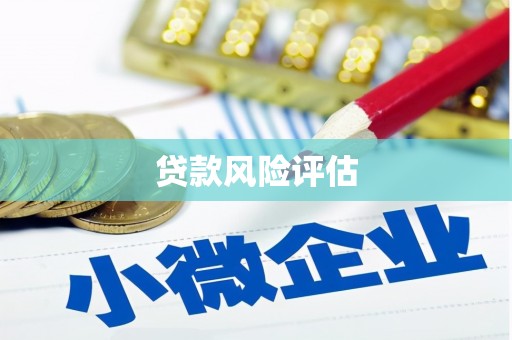 七里河贷款风险评估