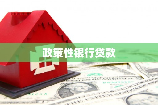 七里河政策性银行贷款