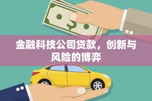七里河金融科技公司贷款，创新与风险的博弈