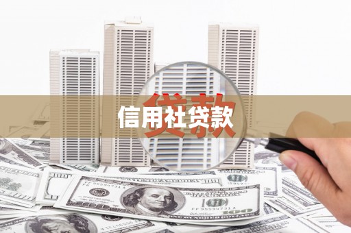 七里河信用社贷款