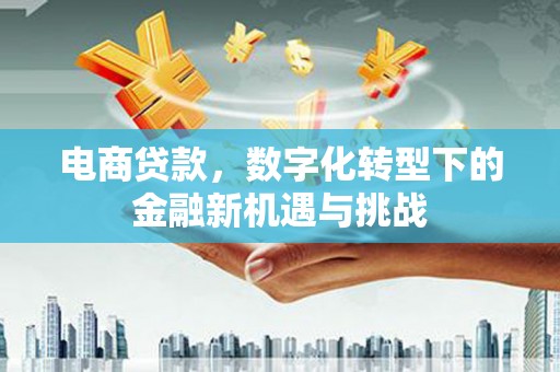 七里河电商贷款，数字化转型下的金融新机遇与挑战