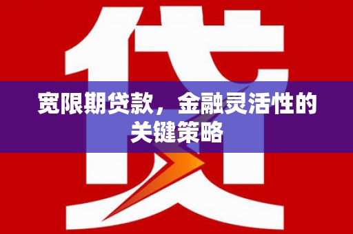 七里河宽限期贷款，金融灵活性的关键策略