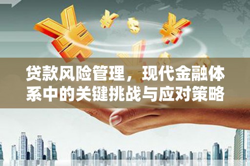 七里河贷款风险管理，现代金融体系中的关键挑战与应对策略