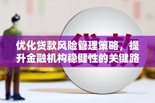 七里河优化贷款风险管理策略，提升金融机构稳健性的关键路径