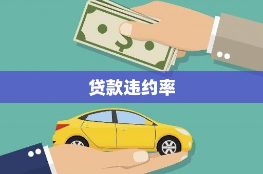 七里河贷款违约率
