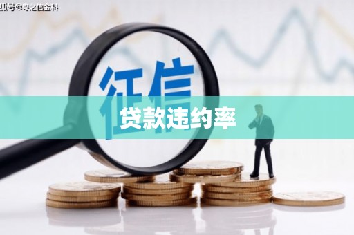 七里河贷款违约率