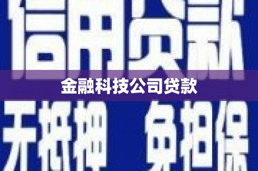 七里河金融科技公司贷款