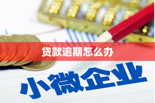 七里河贷款逾期怎么办