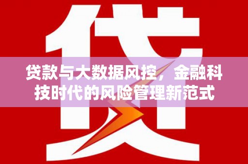 七里河贷款与大数据风控，金融科技时代的风险管理新范式