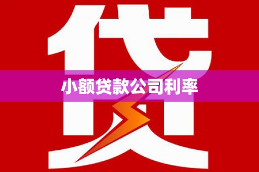 七里河小额贷款公司利率