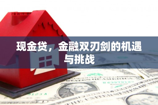 七里河现金贷，金融双刃剑的机遇与挑战