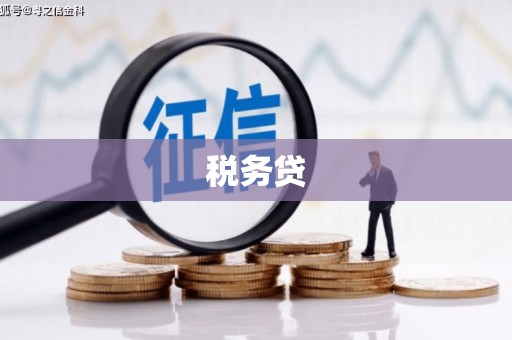 七里河税务贷