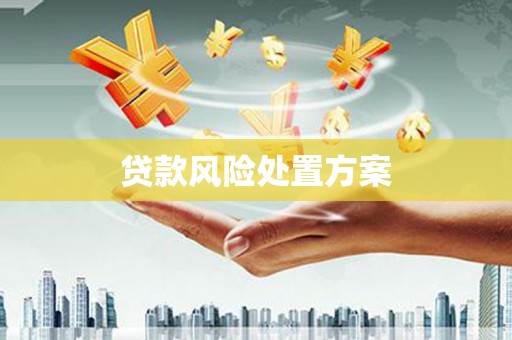 七里河贷款风险处置方案