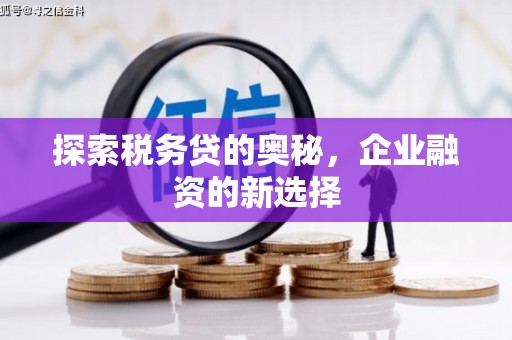 七里河探索税务贷的奥秘，企业融资的新选择