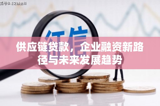 七里河供应链贷款，企业融资新路径与未来发展趋势