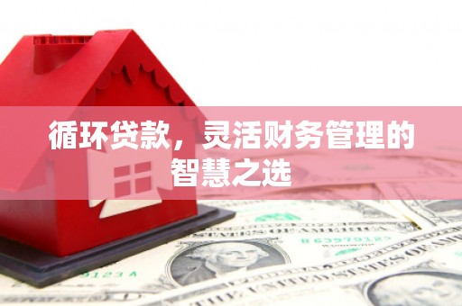 七里河循环贷款，灵活财务管理的智慧之选