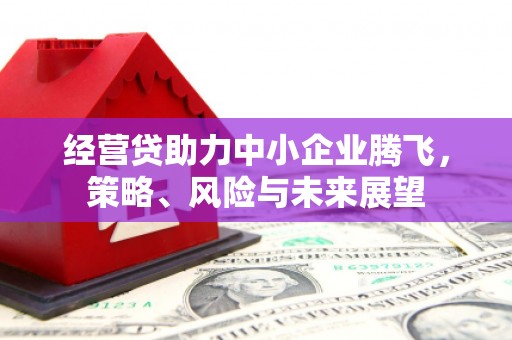 七里河经营贷助力中小企业腾飞，策略、风险与未来展望