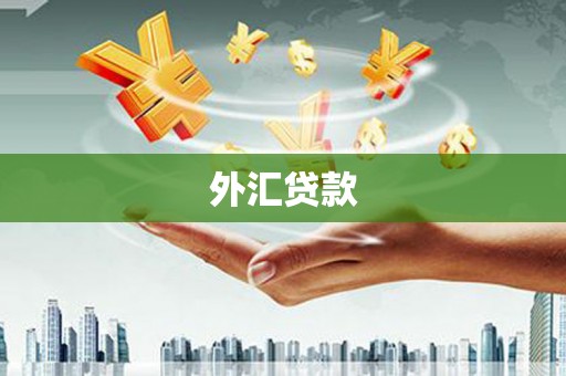 七里河外汇贷款