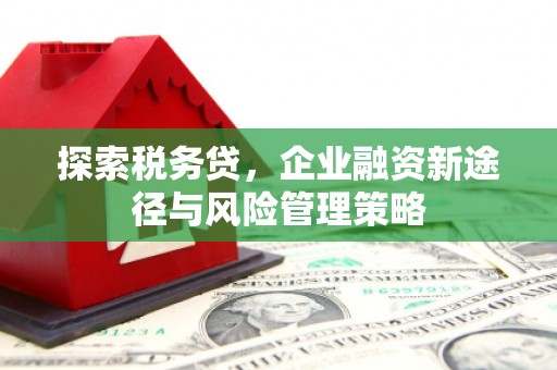 七里河探索税务贷，企业融资新途径与风险管理策略