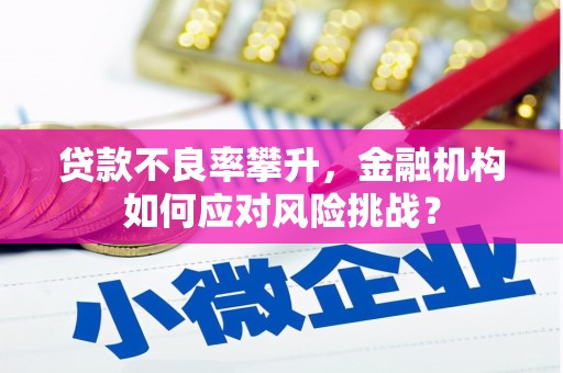 七里河贷款不良率攀升，金融机构如何应对风险挑战？