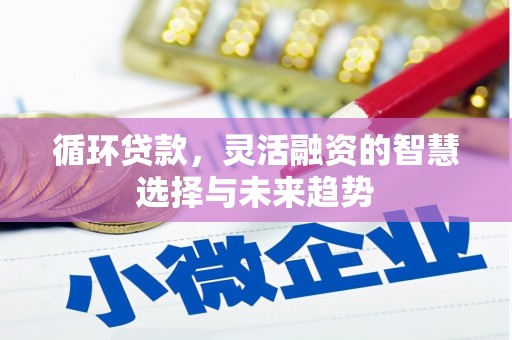 七里河循环贷款，灵活融资的智慧选择与未来趋势