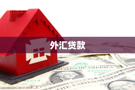 七里河外汇贷款