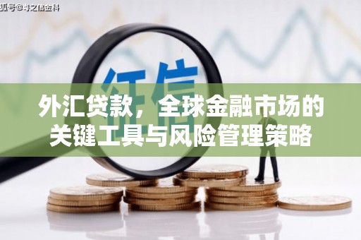 七里河外汇贷款，全球金融市场的关键工具与风险管理策略