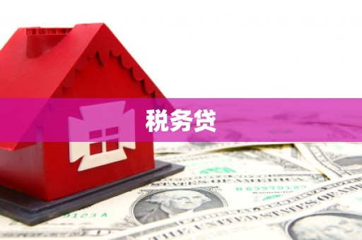 七里河税务贷