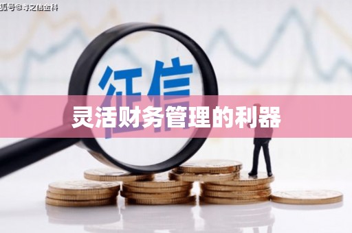 七里河灵活财务管理的利器