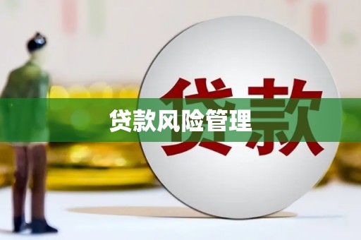 七里河贷款风险管理