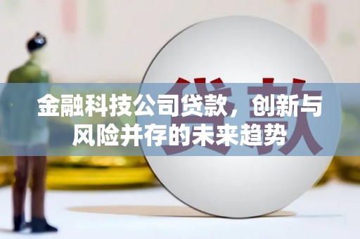 七里河金融科技公司贷款，创新与风险并存的未来趋势