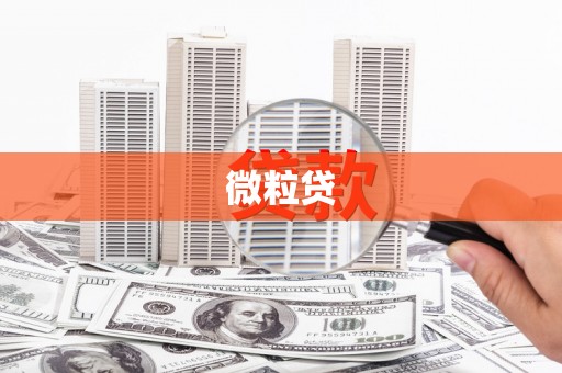七里河微粒贷