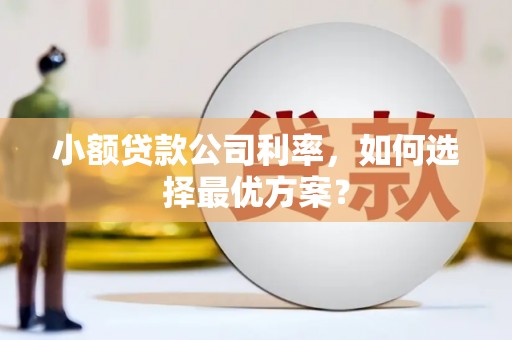 七里河小额贷款公司利率，如何选择最优方案？