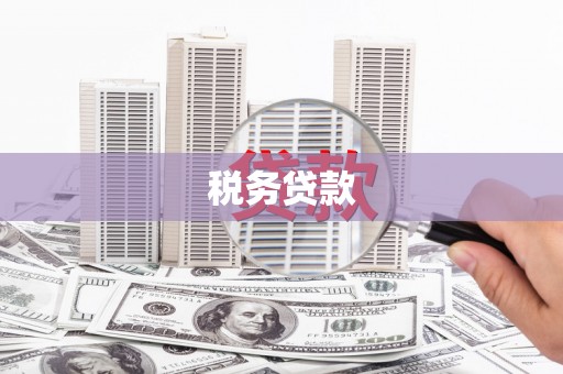 七里河税务贷款