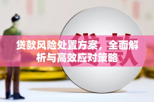七里河贷款风险处置方案，全面解析与高效应对策略