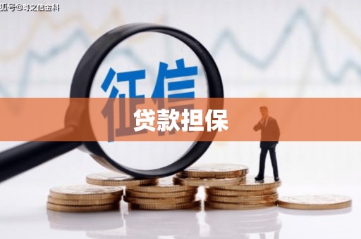 七里河贷款担保