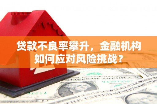 七里河贷款不良率攀升，金融机构如何应对风险挑战？