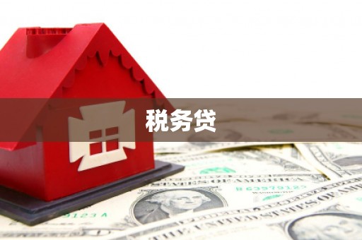 七里河税务贷