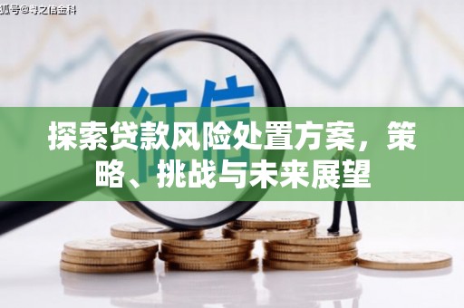 七里河探索贷款风险处置方案，策略、挑战与未来展望