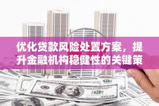 七里河优化贷款风险处置方案，提升金融机构稳健性的关键策略