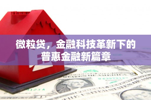 七里河微粒贷，金融科技革新下的普惠金融新篇章
