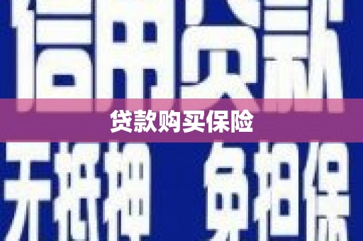 七里河贷款购买保险