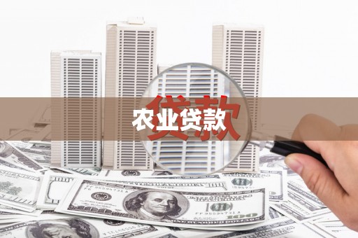 七里河农业贷款